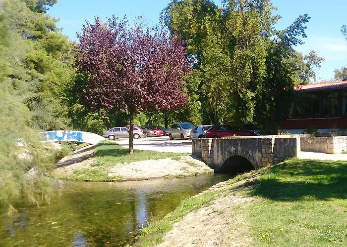 Lejlighed Apartmant Cherry Zadar